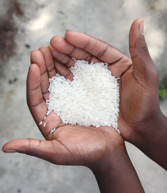 Mãos segurando arroz em formato de coração